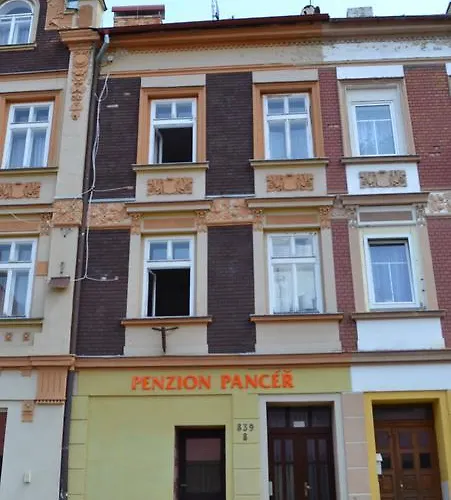 Lejlighed Pancer Vejprty